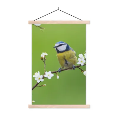 Produktbild von MuchoWow® Textilposter Blaumeise - Zweig - Blumen - Blühende Zweige - Vogel 60x90 cm mit holzfarbenen Rahmen - Textil
