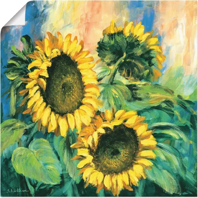 Produktbild von ARTland Poster Sonnenblumen II Größe: 40x40 cm