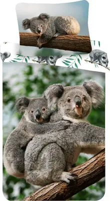 Produktbild von Kinder Erwachsenen Bettwäsche Koala Paar Wildnis Eukalyptusbaum Bettdecke 140x200 + Kopfkissen 70x90 cm Kopfkissen 100% Baumwolle