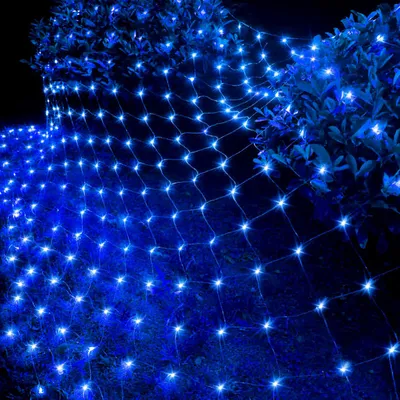 A net of blue lights draped over bushes at night.
