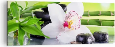 Produktbild von Bild auf Leinwand - Leinwandbild - blume orchidee - 140x50cm - Wand Bild - Wanddeko - Wandbilder - Leinwanddruck - Bilder - Kunstdruck - Wanddekoration - Leinwand bilder - Wandkunst - AB140x50-3659