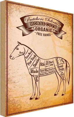 Produktbild von vianmo Holzschild 18x12 cm Pferd Horse cuts Organic Metzgerei Tier Haustier