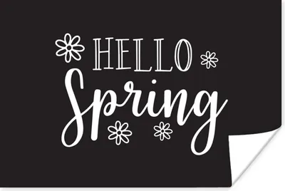 Produktbild von MuchoWow® Poster Zitat "Hallo Frühling" auf schwarzem Hintergrund 60x40 cm - Schlafzimmerdekoration
