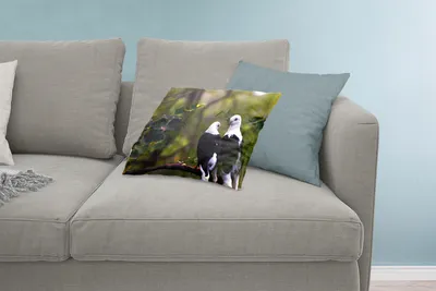 Produktbild von MuchoWow® Zierkissen Sofakissen Wohnzimmer Dekokissen 60x40 cm Vögel - Zweig - Blätter - Kopfkissen - Polster mit Foto