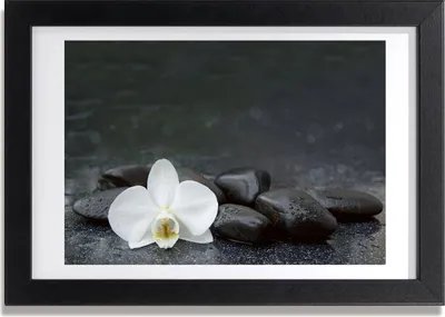 Produktbild von Bild 30x20 MDF-Rahmen, Wandkunst Orchidee