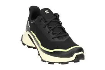 Produktbild von Salomon Alphacross 5 GTX W - Artikel 474606 - Grösse 38 2/3
