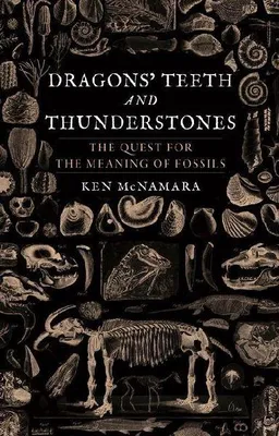 Produktbild von Dragons' Teeth and Thunderstones