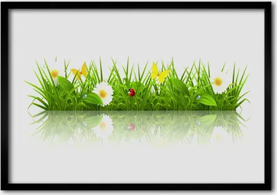 Produktbild von Bild 70x50 MDF-Rahmen Wandkunst Gras Natur Pflanze