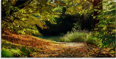 Produktbild von ARTland Glasbild Herbstteppich Größe: 100x50 cm