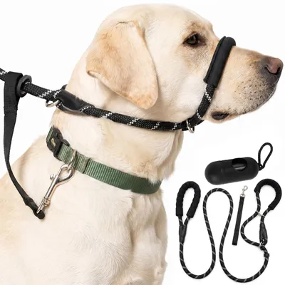 Image de Laisse pour chien avec distributeur de sacs à déjections