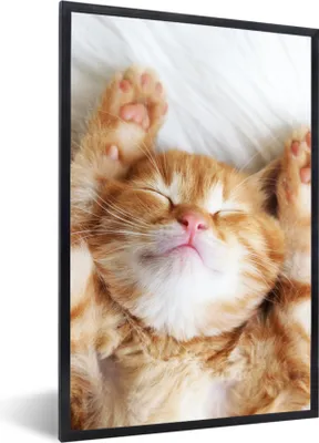 Produktbild von MuchoWow® Gerahmtes Poster Katze - Rot - Haustiere - Kätzchen 60x90 cm - Poster mit Schwarzem Bilderrahmen Wandposter Rahmen Foto Bilder - Kunst