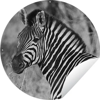 Produktbild von MuchoWow® Gartenposter Outdoor-Poster Rund Zebra-Porträt Ø 120 cm Gartendeko Rundes Poster draußen