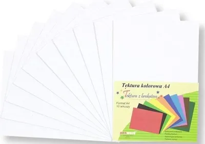 Image de Carton A4 uni brocard blanc 10pc