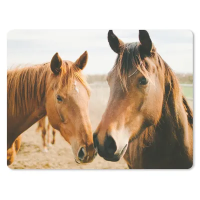 Produktbild von MuchoWow® Mauspad Mousepad Pferd - Strand - Tiere 23x19 cm - Mousepads - Maus Mat - Pad - Mausunterlage - Schreibtischunterlage - Mauspad