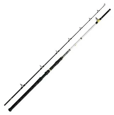 Produktbild von WFT Catbuster Boat Welsrute, WG g:150-600, Länge m:2.40