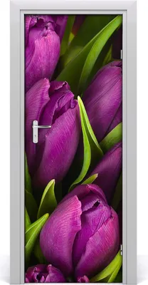 Produktbild von Tulup Türaufkleber 75x205 cm Dekorative Aufkleber Selbstklebend Wasserdichte Tapete Abnehmbar Schlafzimmer Wohnzimmer Wohnkultur - lila Tulpen