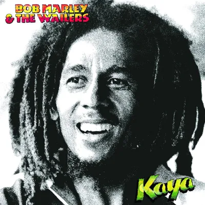 Produktbild von Bob Marley & The Wailers - Kaya (LP)