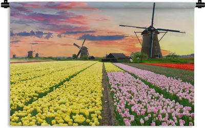 Produktbild von MuchoWow® Wandteppich Wandbehang Tulpen - Windmühle - Natur 90x60 cm Tapisserie Dekoration Wandtuch - Wandskulpturen - Bildteppich