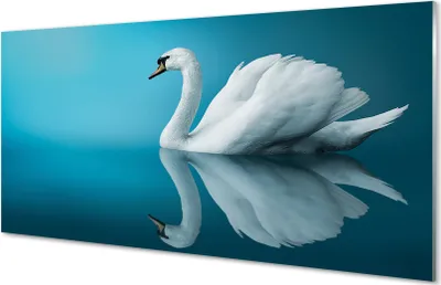 Produktbild von Glasbilder 120x60 Wandkunst Schwan im Wasser