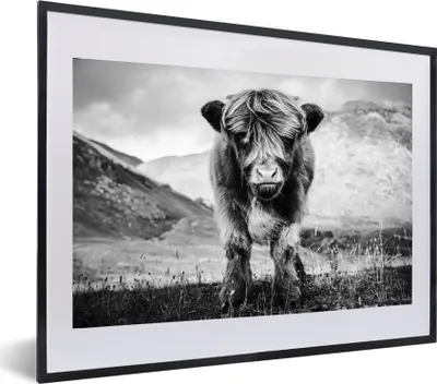 Produktbild von MuchoWow® MuchoWow® Gerahmtes Poster Schottisches Hochlandrind - Berg - Schwarz - Weiß 60x40 cm - Poster mit zchwarzem Bilderrahmen - Schlafzimmer - Plakat in Rahmen - Drucken