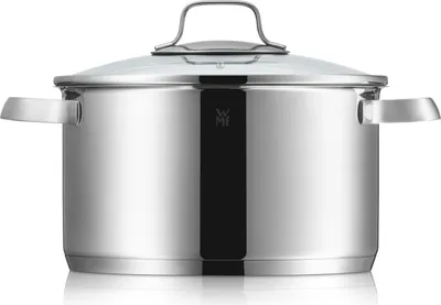 A stainless steel pot with a glass lid and handles, shown from the front on a white background.