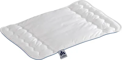Produktbild von IRISETTE Paul und Paulinchen Kinderflachkissen Größe 40x60 cm