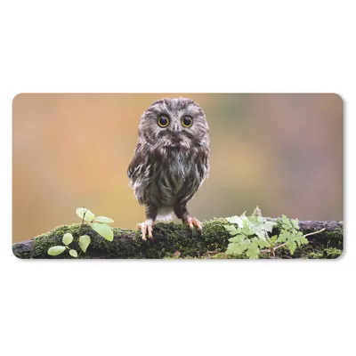 Produktbild von MuchoWow® Mauspad Mousepad Steinkauz 60x30 cm - Mousepads - Maus Mat - Pad - Mausunterlage - Nachhaltig