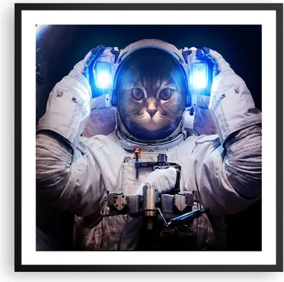 Produktbild von Gerahmtes Poster - Schwarzer Rahmen - Kosmonaut Katze - 60x60 cm - Wand Bild - Wanddeko - Wandbilder - Kunstposter - Wandposter - Bilderrahmen - Bilder - Kunstdruck - Wandbild - P2BAC60x60-3734