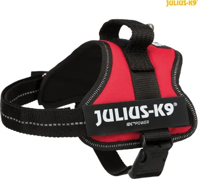 Produktbild von Julius-K9® IDC Powergeschirr®, S / Mini: 51–67 cm / 28 mm, rot