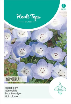 Produktbild von Hain Blume Blau | Blumensamen von Hortitops