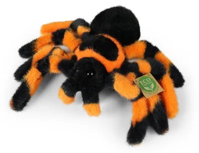 Productafbeelding van Pluche Tarantula Spin 20 Cm Eco-f Plush World