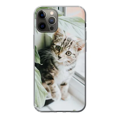 Produktbild von MuchoWow® Handyhülle Schutzhülle Hülle für iPhone 12 Pro Katze - Kätzchen - Pflanzen Silikon Softcase Handy Hülle - Abdeckung