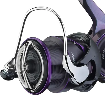 Image de DAIWA 25 Prorex MQ LT, 2000, bobine de rechange, 19618-200