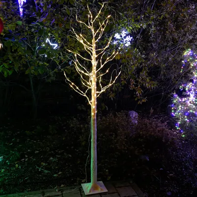Produktbild von LED-Baum Birke warmweiß 180 LED 210 cm für außen mit Timer
