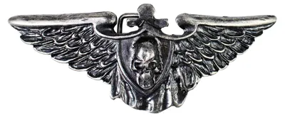 Produktbild von FRONHOFER große Gürtelschnalle mit Flügeln und Totenkopf für 4 cm Riemen