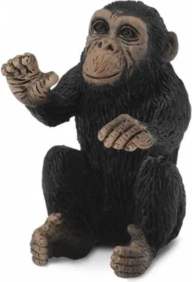 Produktbild von Collecta - Cachorro De Chimpance - Abrazando -S- 88494 (90188494) COLECTA