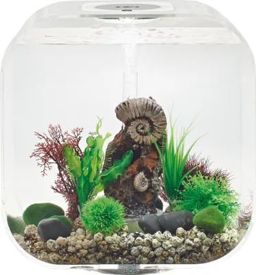 Produktbild von biOrb LIFE 30 MCR transparent (72053)