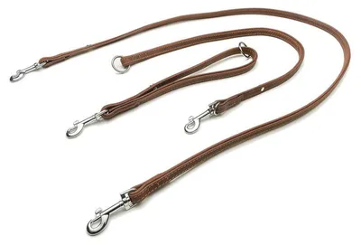 Produktbild von Das Lederband Universal Hundeleine Boston mocca/mocca, Länge: 235 cm / Breite: 14 mm