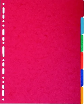Immagine prodotto di Indice A4+ Cartoncino Manila 400g 6 pezzi vuoti colorati Confezione da 25 pezzi