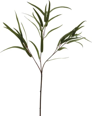 Produktbild von artplants.de Deko Zweig Eukalyptus ZIYUMU mit Samen, grün, 80 cm - Eukalyptuszweig künstlich