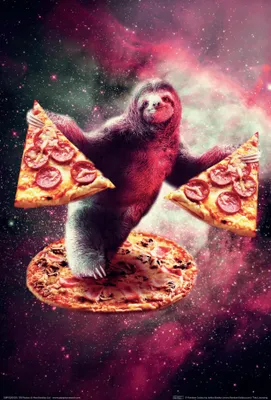 Obrázok produktu pre Pizza – Lenivec – Plagát, 61 x 91,5 cm
