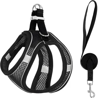 Obrázok produktu pre Postroj pre psa čierny 28-30 cm, 1,5 m vodítko, priedušná sieťovina, na prechádzku