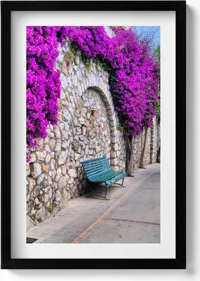 Produktbild von Straße mit Blumen in Capri, Italien– Wandbild mit Rahmen – Gerahmtes Bild  – Wanddekoration – 40x60 cm –  Schwarz