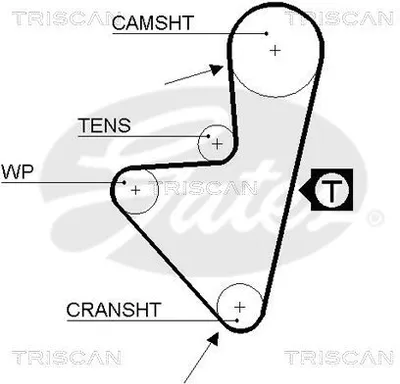 Image de TRISCAN Courroie dentée 8645 5175xs