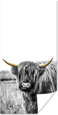 Produktbild von MuchoWow® Poster Schottischer Highlander - Gold - Schwarz - Weiß 60x120 cm - Wandschmuck
