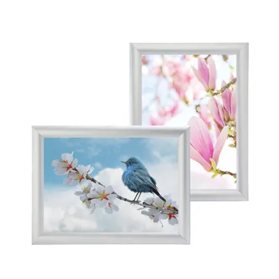 Two framed pictures are shown, one with a blue bird on a branch and another with pink magnolia flowers.