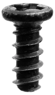 Productafbeelding van Zelfborende schroef, 2,0 x 6 mm, 12 stuks