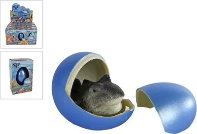 Image de Oeuf de requin 6cm 12pcs/disp 621712 03706