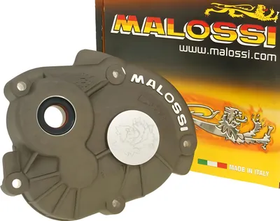Produktbild von Getriebedeckel Malossi MHR 16mm für Minarelli liegend