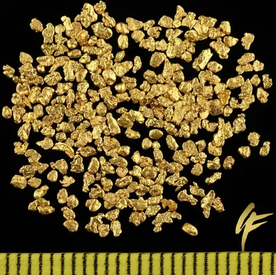 A pile of gold nuggets on a black background with a ruler at the bottom.